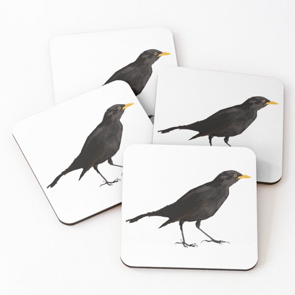 Item preview, Blackbird Bird Scientific illustration - Turdus merula designed and sold by clorofila.