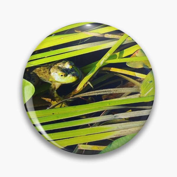 Item preview, Frog designed and sold by Saritz.