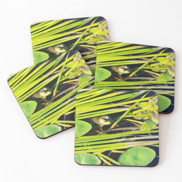 Item preview, Frog designed and sold by Saritz.