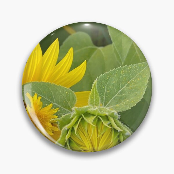 Item preview, Budding sunflower  designed and sold by Saritz.