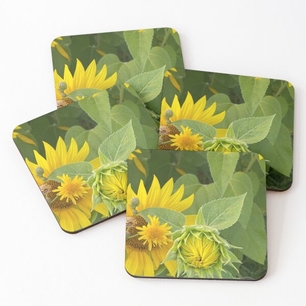Item preview, Budding sunflower  designed and sold by Saritz.