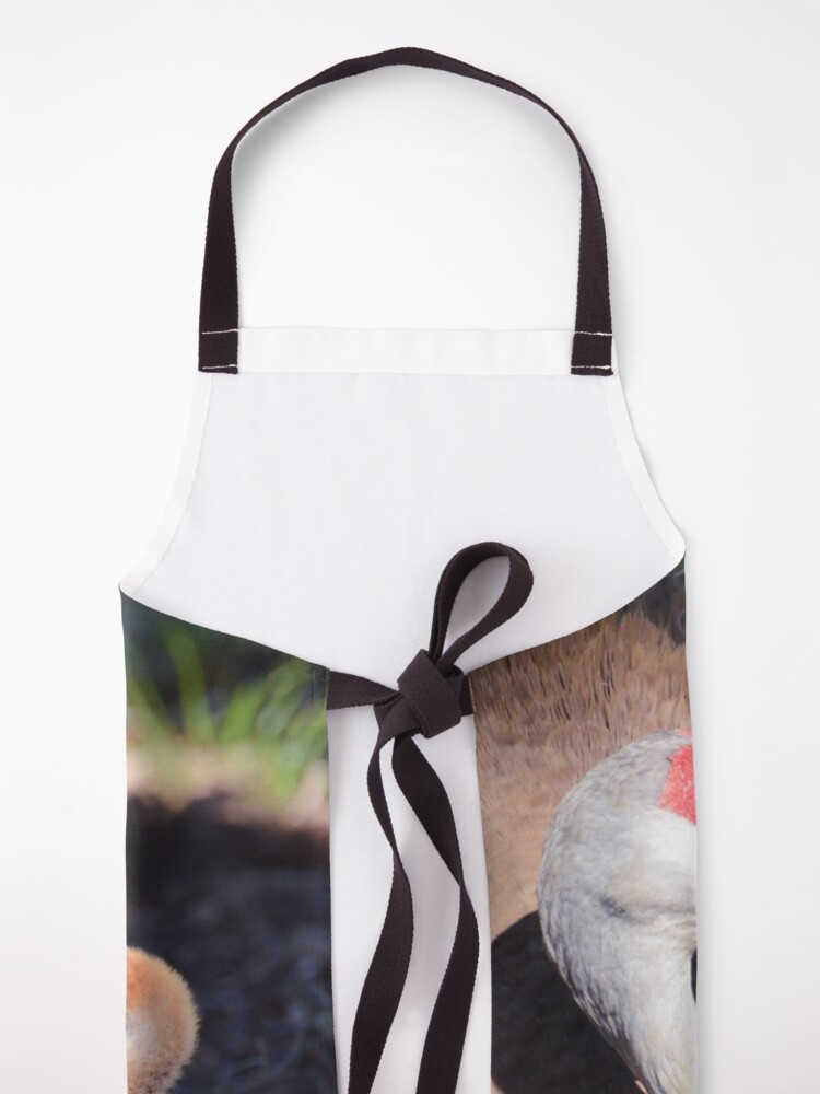 Alternate view of Sandhill with chick Apron