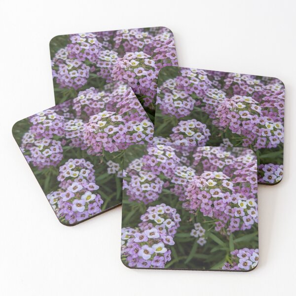 Item preview, Alyssum Maritima designed and sold by Skyeclimber.