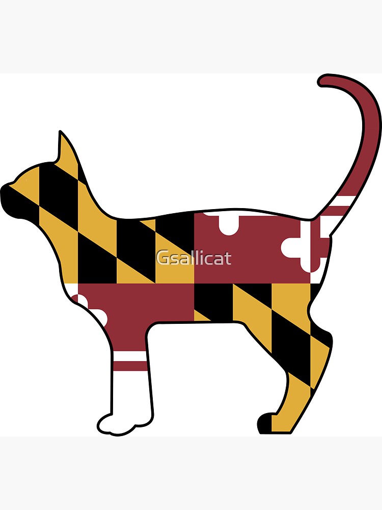 Maryland Flag Kittie Dark Heather / Med