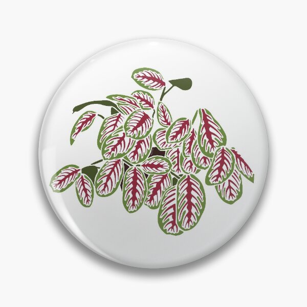 Item preview, Prayer Plant designed and sold by Texicola.
