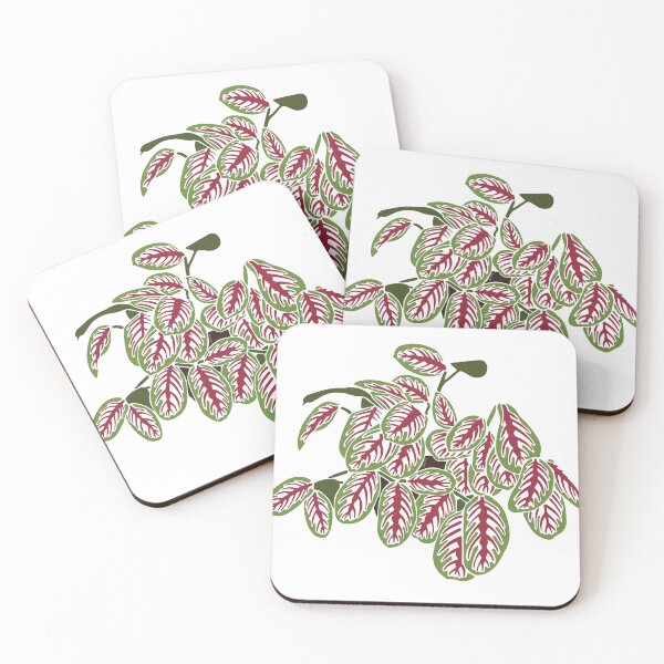 Item preview, Prayer Plant designed and sold by Texicola.