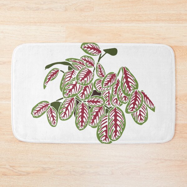 Item preview, Prayer Plant designed and sold by Texicola.