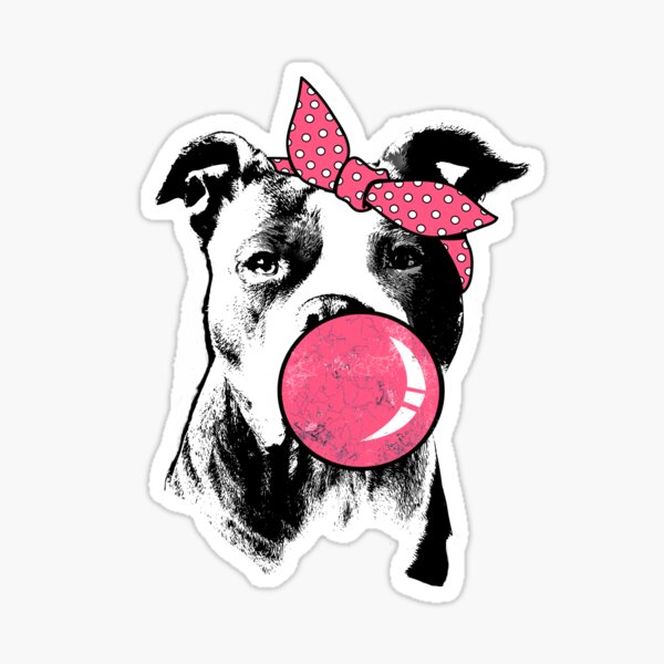 Old English Bulldog Dame , OEB mit Haarband und Kaugummi Sticker
