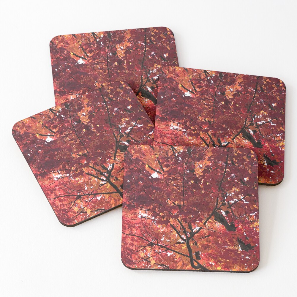 Item preview, Coasters (Set of 4) designed and sold by Saritz.