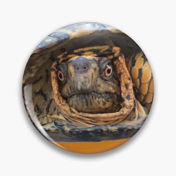 Item preview, Floaty Box Turtle designed and sold by derbyisdead.