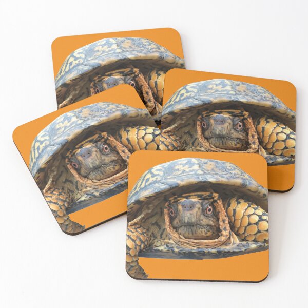 Item preview, Floaty Box Turtle designed and sold by derbyisdead.