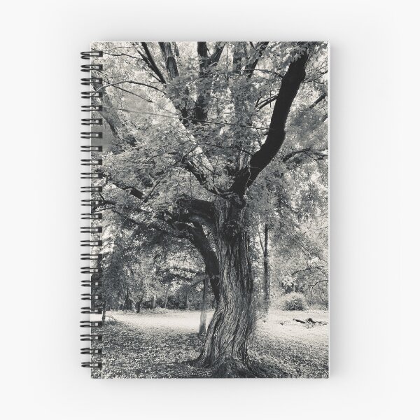 Item preview, This Old Tree designed and sold by nicoleclark97.