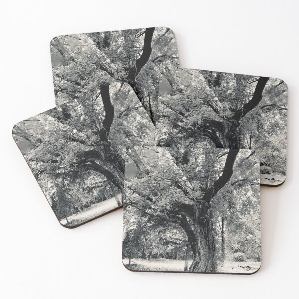 Item preview, This Old Tree designed and sold by nicoleclark97.