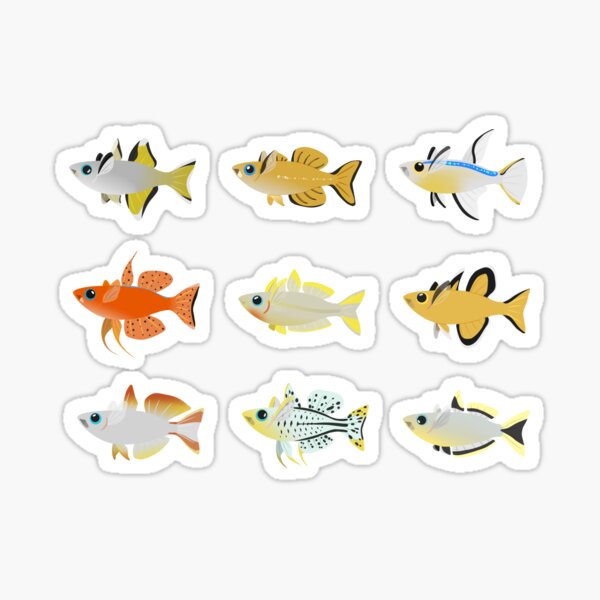 Item preview, Various Blue Eyed Pseudomugil Rainbowfish Pack designed and sold by shiinzi.