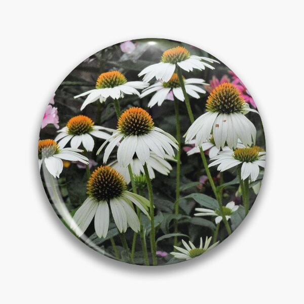 Item preview, Cone flower photo designed and sold by mikemcglashon.