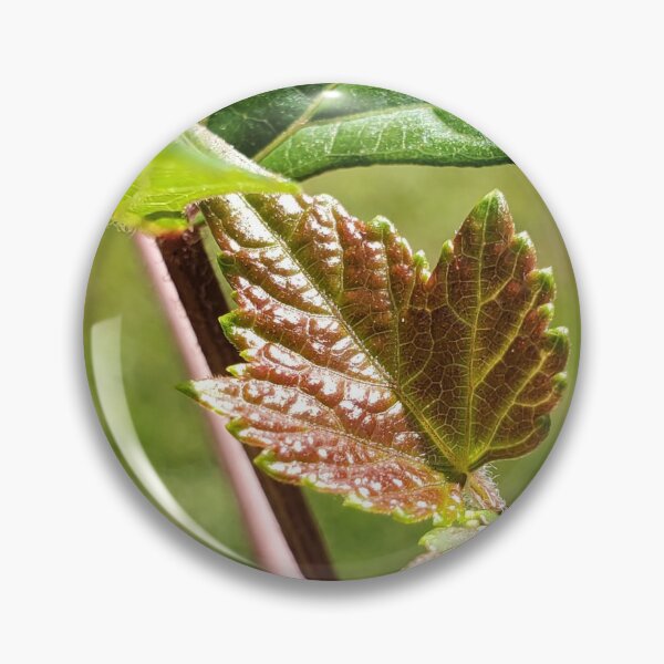 Item preview, Sprouting Leaf designed and sold by C Schabowski.