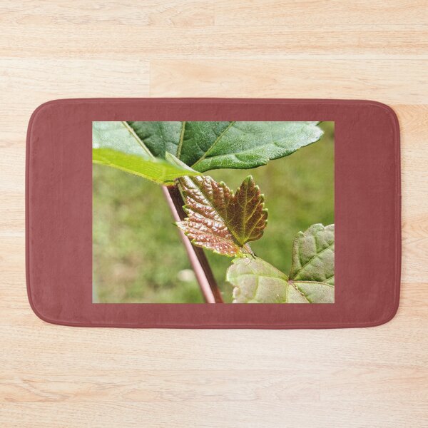 Item preview, Sprouting Leaf designed and sold by C Schabowski.