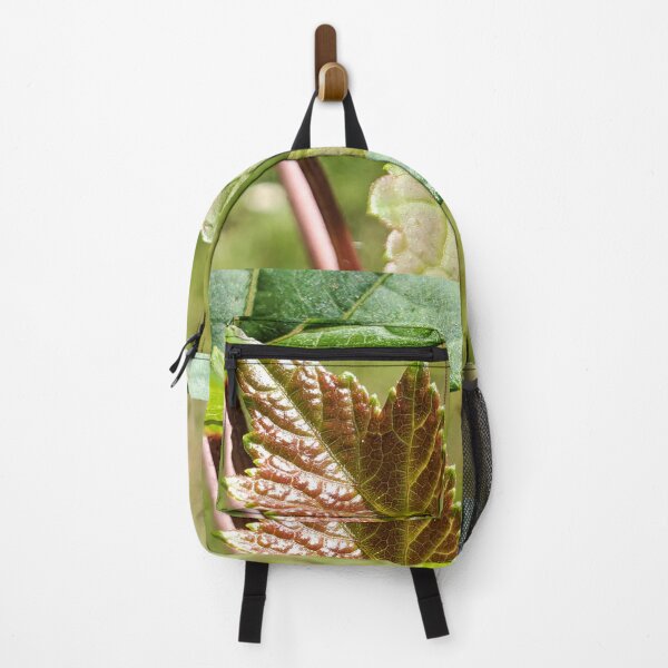 Item preview, Sprouting Leaf designed and sold by C Schabowski.