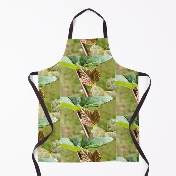 Item preview, Sprouting Leaf designed and sold by C Schabowski.