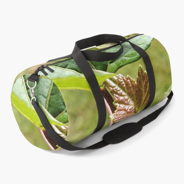 Item preview, Sprouting Leaf designed and sold by C Schabowski.