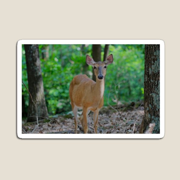 Item preview, Bosque de ciervos designed and sold by Jessica  Barker.
