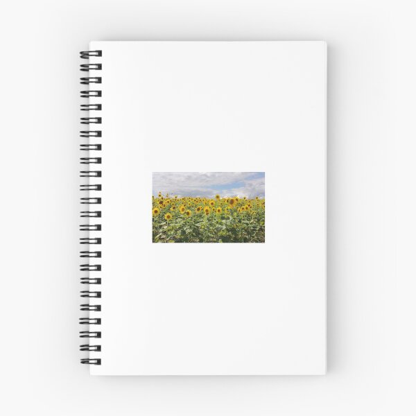 Artikelvorschau, Sonnenblumen entworfen und verkauft von Jessica  Barker.