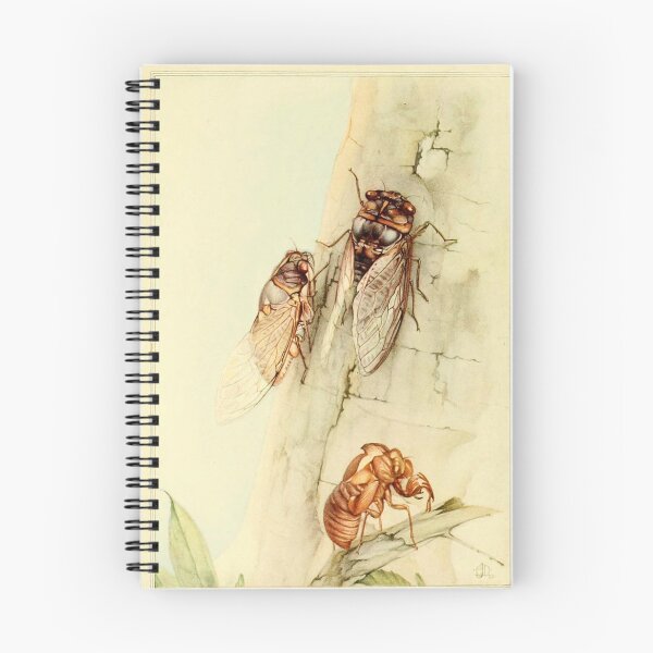 Item preview, Cicada Insect, 1921 by Rodolph Stawell designed and sold by nextstepdesigns.