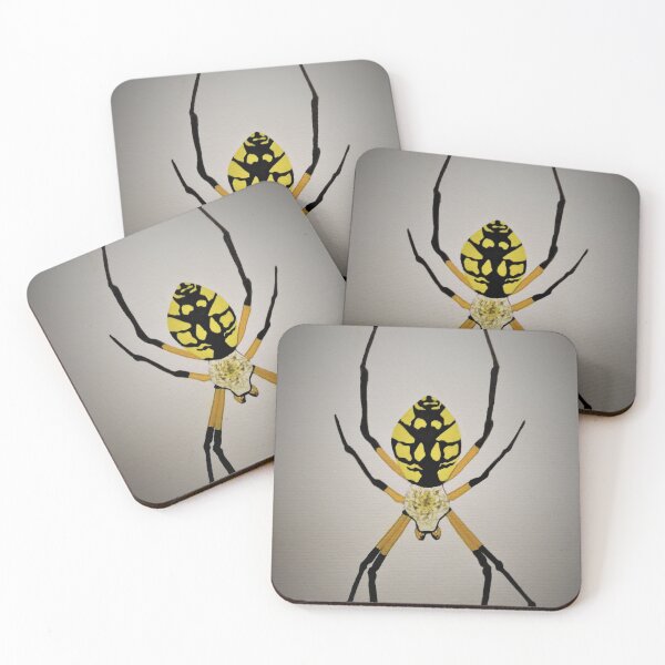 Item preview, Garden Spider designed and sold by Beekeeper1324.