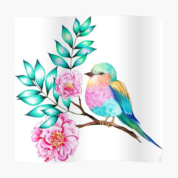 Small bird - a Lilac Breasted Roller Poster