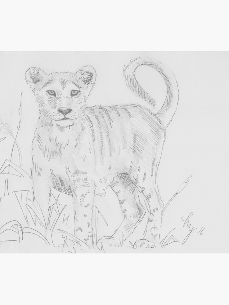 Lyla the lion cub Art Print by Abbey Noelle - Fine Art America