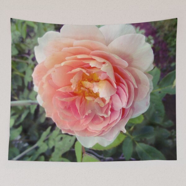 Item preview, 072021dd1 What beautiful flowers designed and sold by Campbell Gallery.