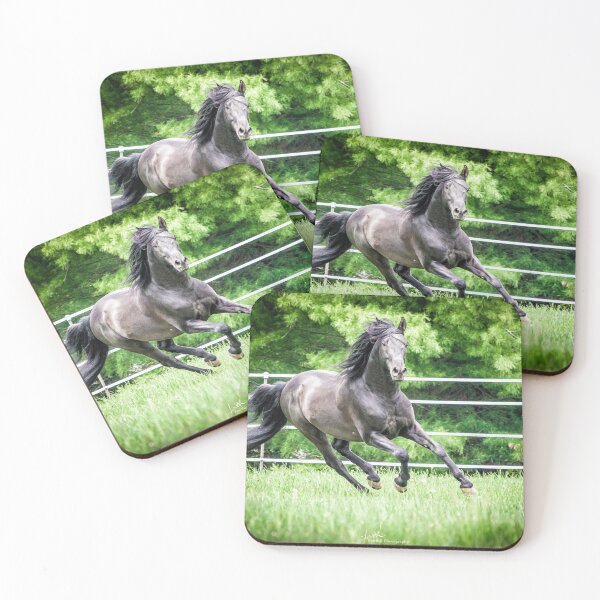 Item preview, Andalusian Stallion - Photography designed and sold by Windfall-Acres.