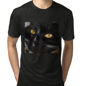 cats eye shirt price