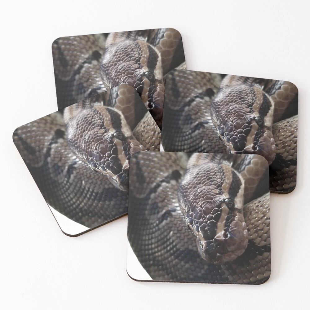 Item preview, Coasters (Set of 4) designed and sold by ScalesOrFur.