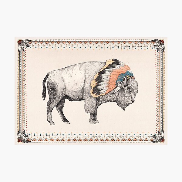 White Bison Photographic Print