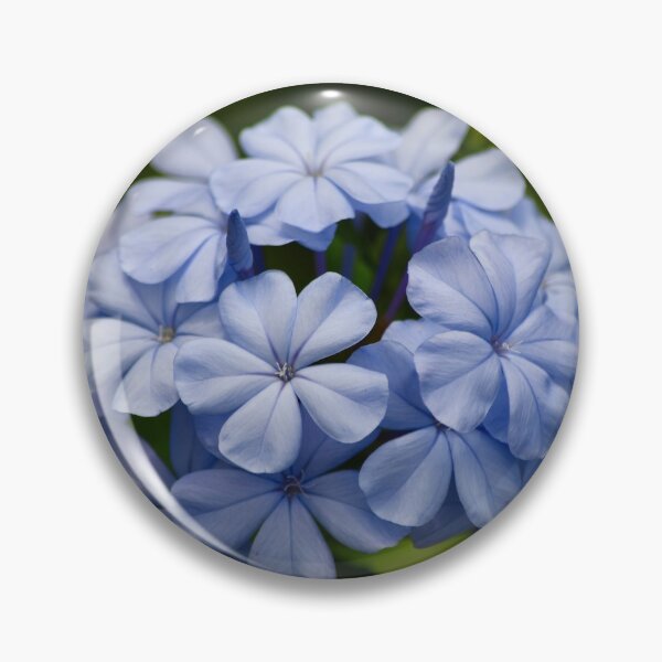 Item preview, Pretty Plumbago designed and sold by richardbryce.