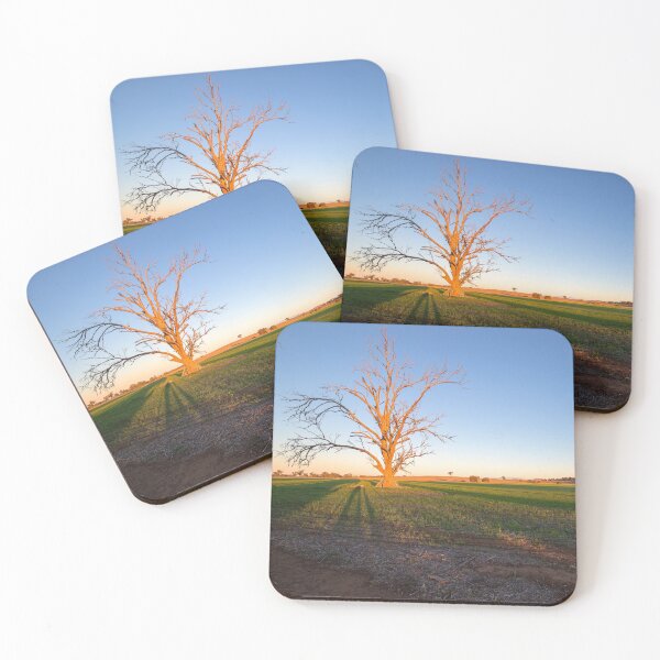 Item preview, Lovely light on Old tree.... designed and sold by mitpjenkeating.
