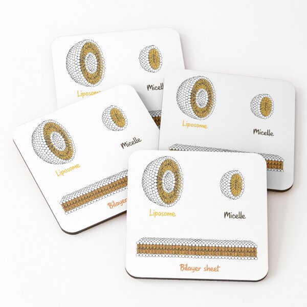 Item preview, Phospholipids arrangement. Liposome Micelle soap phospholipid bilayer sheet designed and sold by labstud.