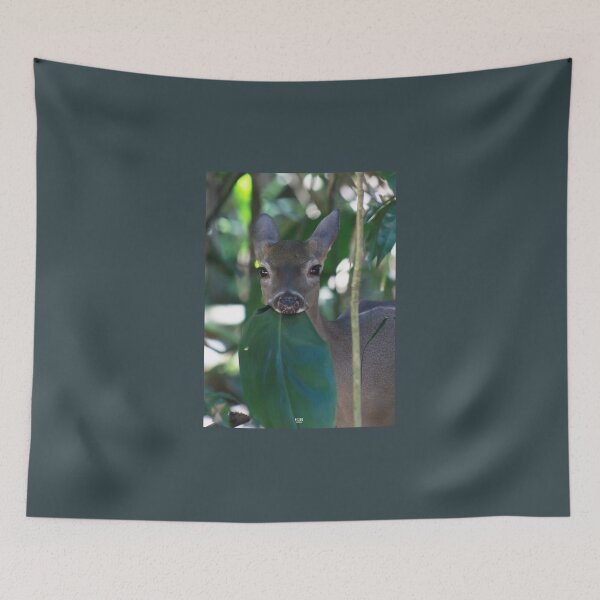 Item preview, Little while-tailed deer  designed and sold by CostaRicaNature.
