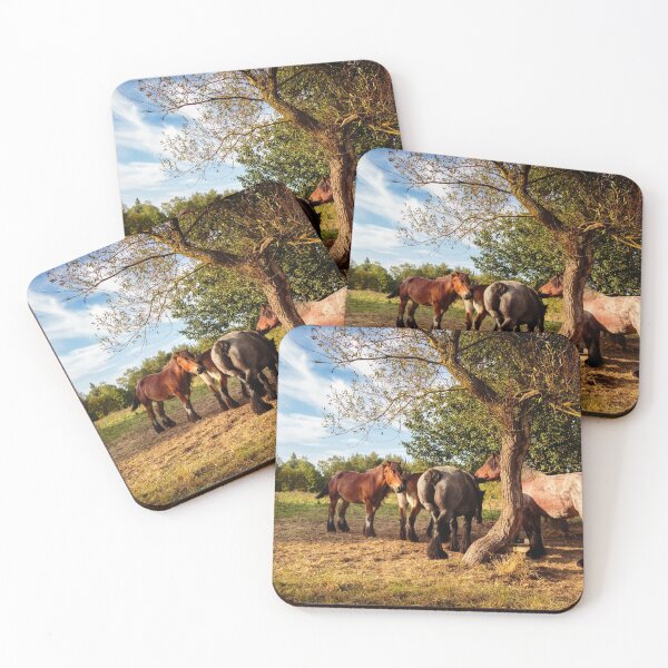 Item preview, Draft horses seek shelter under a tree designed and sold by svanaerschot.