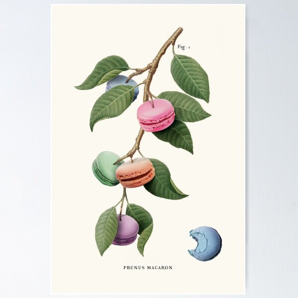 Item preview, Macaron Plant designed and sold by JonasLoose.