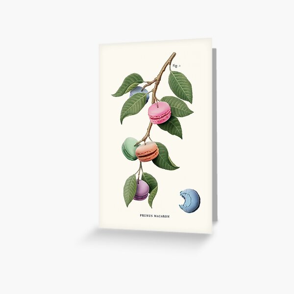 Item preview, Macaron Plant designed and sold by JonasLoose.