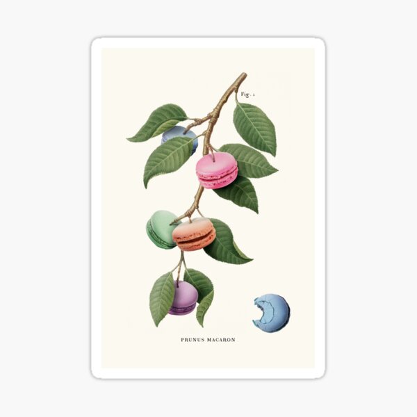 Item preview, Macaron Plant designed and sold by JonasLoose.