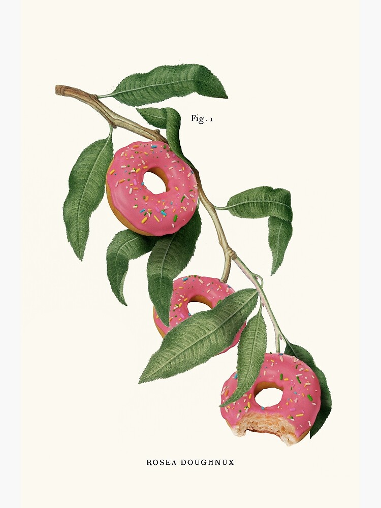 Thumbnail 3 of 3, Photographic Print, Donut Plant designed and sold by JonasLoose.