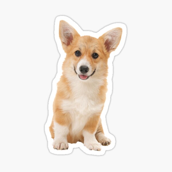 1 Roll of Cute Corgi Dog Stickers, 1 inch, 500pcs/roll – Belle