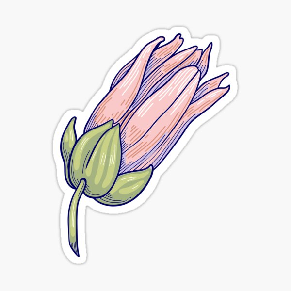 Pressed Flower Watercolor Sticker