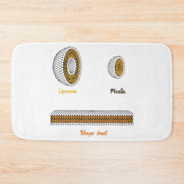 Item preview, Phospholipids arrangement. Liposome Micelle soap phospholipid bilayer sheet designed and sold by labstud.