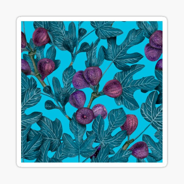 "Figs 2" Sticker for Sale by katerinamk Redbubble