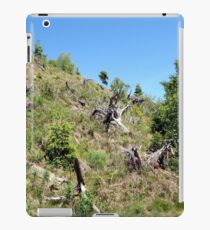 Skeletons iPad Case/Skin
