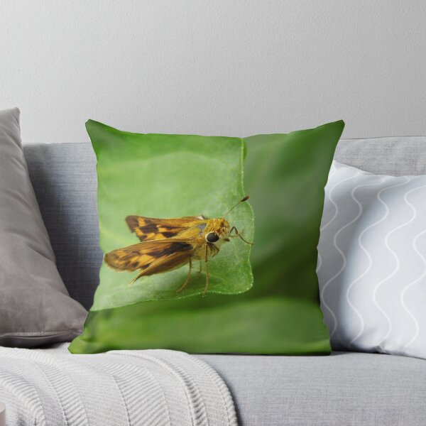 Item preview, Little Skipper designed and sold by WildestArt.